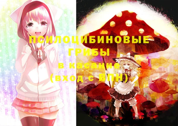 прущая мука Армянск